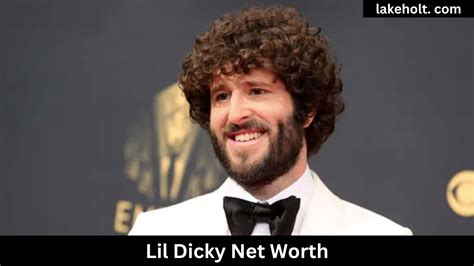 what is lil dicky net worth|Lil Dicky